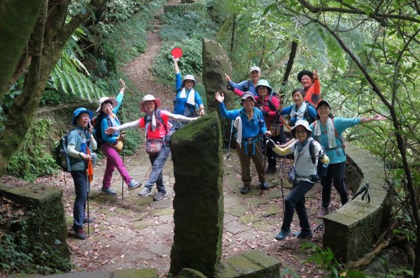 上磺溪橋走魚路古道/金包里城門/擎天崗/冷水坑2872157
