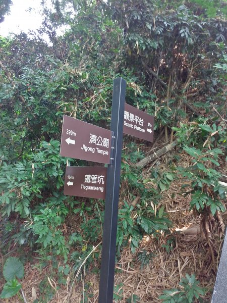 龍過脈森林步道727919