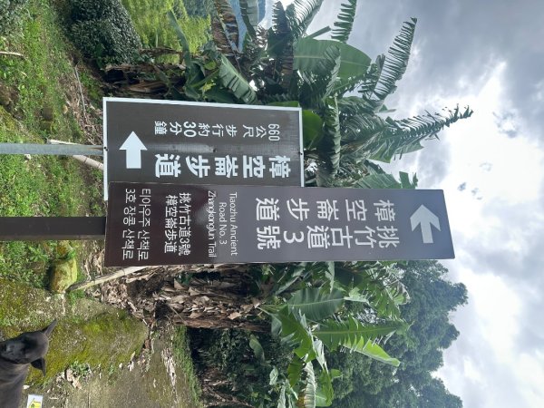 南投小半天七連峰3094616