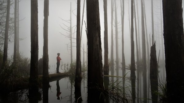 豐阿縱走眠月鐵道森羅萬象的浪漫1031896