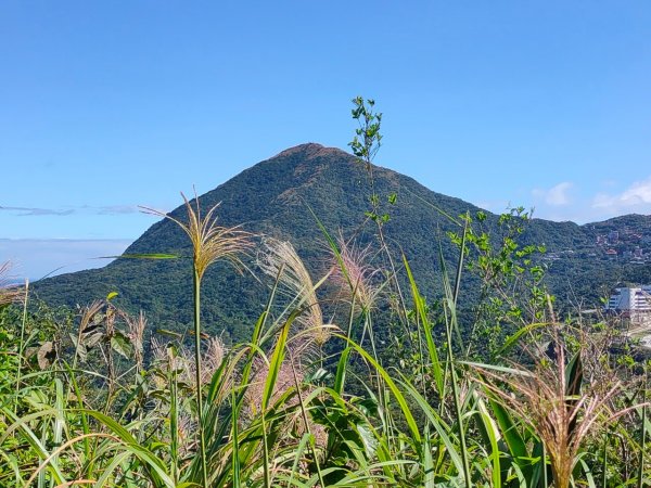 ［瑞芳四秀］ （龍潭山,瑞芳山，秀崎山，白象山）  （2023/11/5）2342438