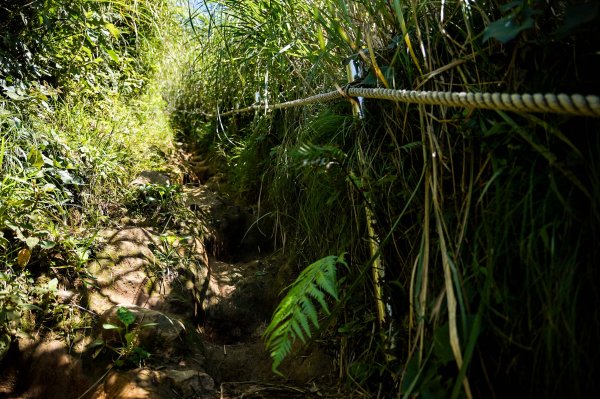 大屯山連峰步道｜陽明山小百岳2856265