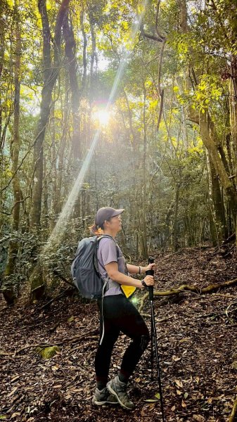 🌈11/15（六）松鶴上八仙山下森林遊樂區✨FB：熊熊趴爬走🌈2937677