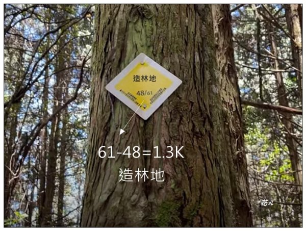屋我尾山 北登山口 (大雪山林道31.3K)2985529