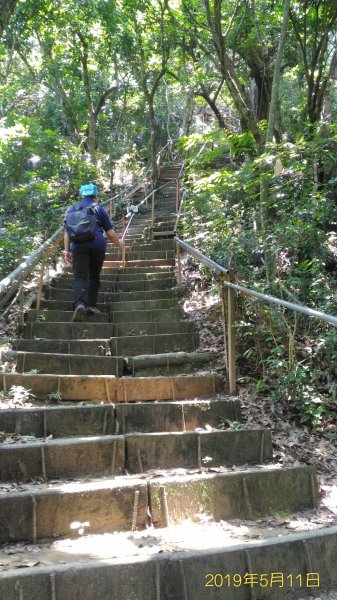 小百岳行~南觀音山(#42)590439