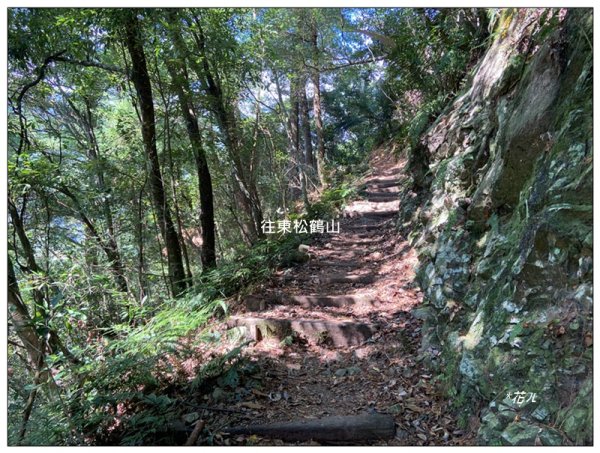 東松鶴山～八仙山 (台中 和平)2940422