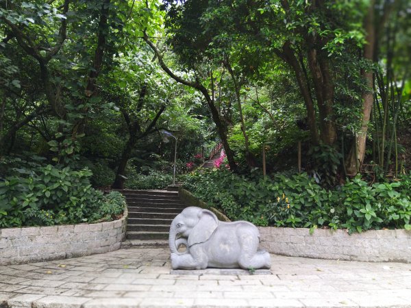台北信義~城市裡就能感受山林綠意與活力健身。象山親山步道