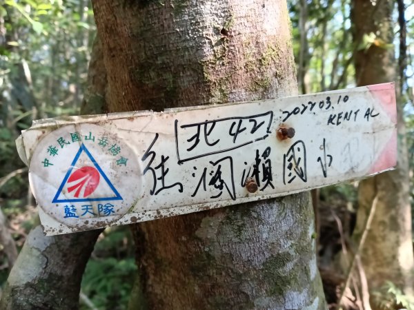 坪林區楣子寮尖+土地公遺址+火燒寮古道+枋山坑古道+枋山坑崙O型2985601