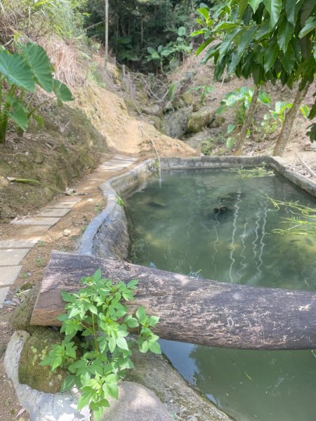 微笑山⛰️線-大棟-二格山-五分山-天上山-鳶山💎12條步道完成💙2837216