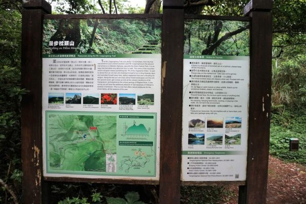 陽明山  菜公坑山 反經石   水車寮步道。林木蓊鬱  豐富的蕨類植披，絕佳避暑古道2174018