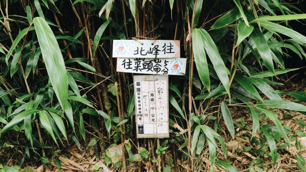 小觀音山O型縱走｜台北抹茶山1015060