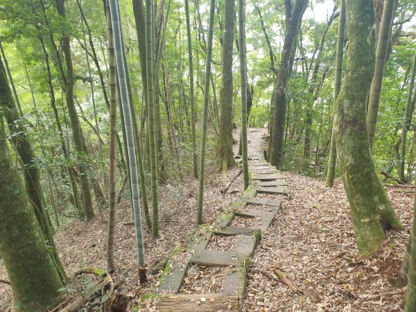 雲嘉南峰石壁山1558927