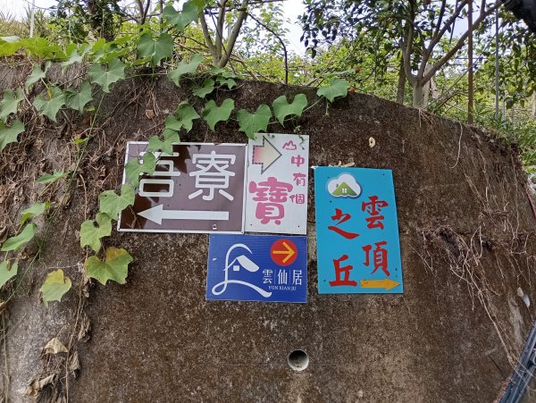 探勘大雪山林道麻竹坑山+石角山