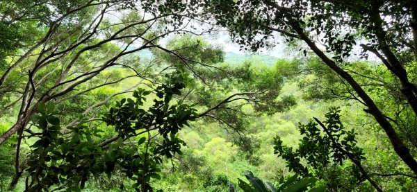 台中梨山，天池，福壽山農場，大肚萬里長城登山步道，苗栗劍潭古道，口山步道，獅頭山，獅山古道1840851