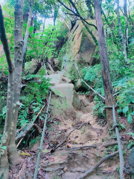 草湳大榕樹、岐山古道、猴山岳步道、 二格山步道、南邦寮山1677291