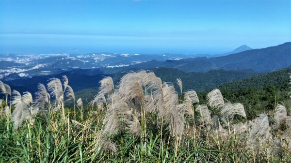 姜子寮山（小百岳011）471321