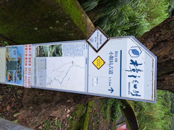 2026樟之細道：小粗坑古道3111821