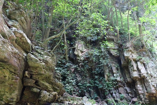 【南投。魚池】山林秘境之美景包場。澀水水上瀑布1428444