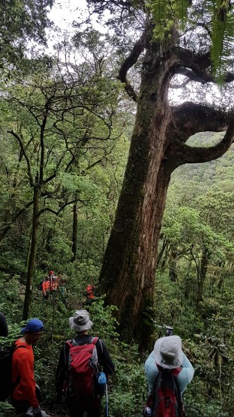 20180414安安登山隊_北插天山419108