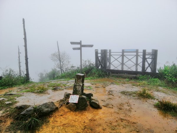基隆七堵~雨霧中散步。 #小百岳姜子寮山867762