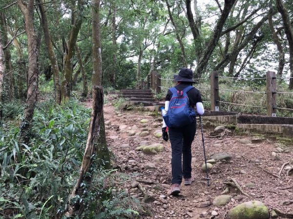 飛鳳山觀日坪連走中坑山388275