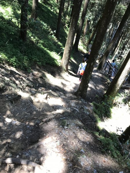 110年5月16日高雄   藤枝國家森林遊樂區1456934