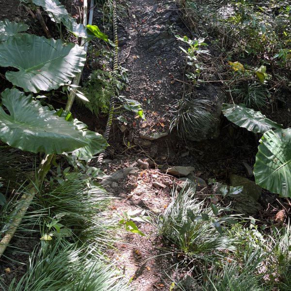 20251214_女仍山（屏東小百岳）2968706