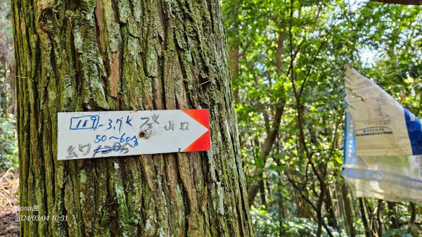 桃園復興金牌縱走O型(金平山.金平山南峰.牌子山)2446646