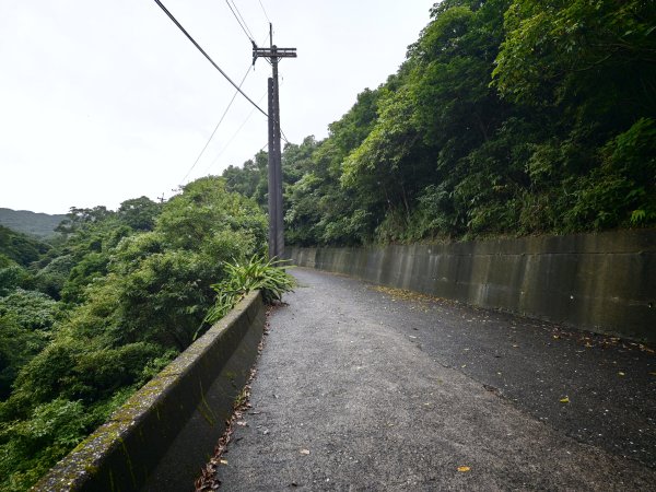 [淡蘭古道] 2026_0614 北路第三段_道路3075540