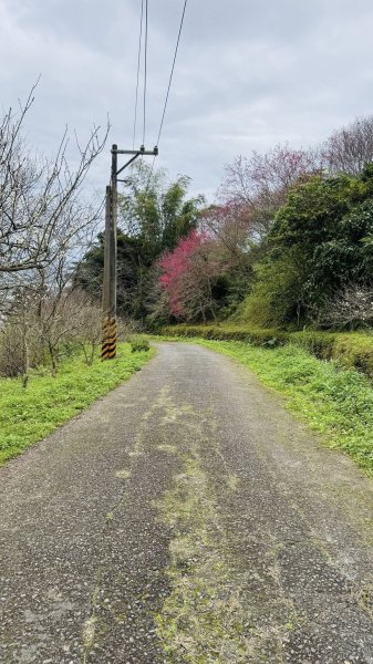 20260204小百岳初音山2994918