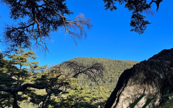 值得為它緩慢⋯白姑大山1487697