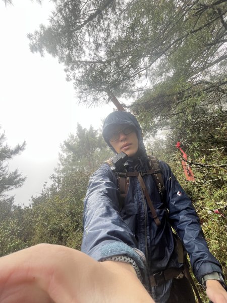 鹿林山-鹿林前山-真鹿林山-石水山-石水山基點峰 2025.5.252798428