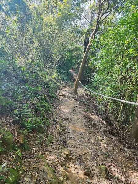 龜山福源山-牛灶坑山-鶯歌火車站走春遊2701329