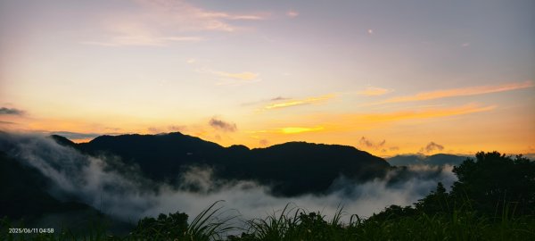 跟著雲海達人山友追雲趣 #草莓月亮 #月圓雲海 #霞光 #日出雲海 #茶園 6/112808777