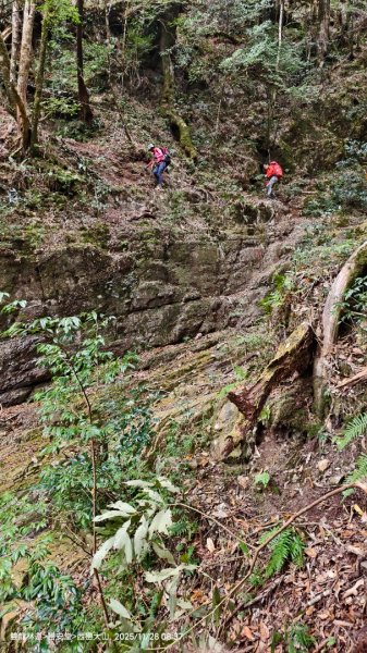 114.11.28-29 雙龍林道~巒安堂~西巒大山2954857