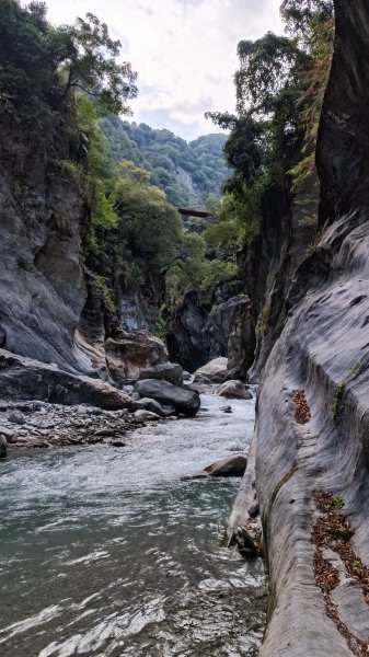 文山溫泉步道1814781