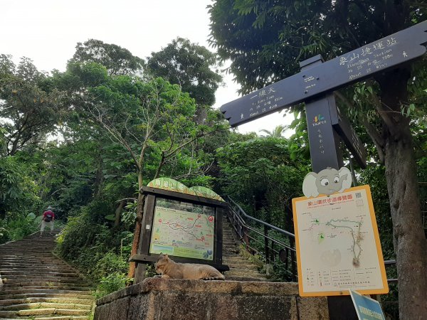 台北－臺灣百大必訪步道 | 象山、金面山1083426