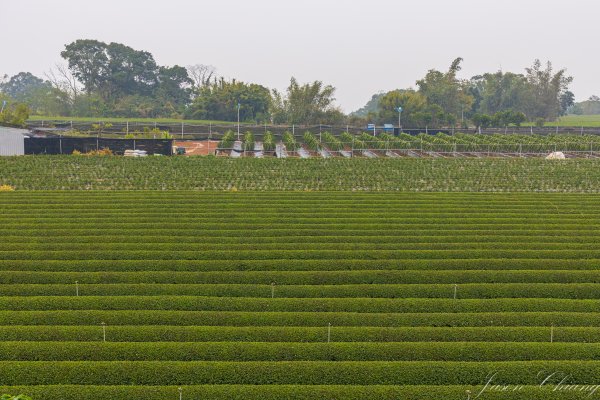 [南投]松柏坑山2683286