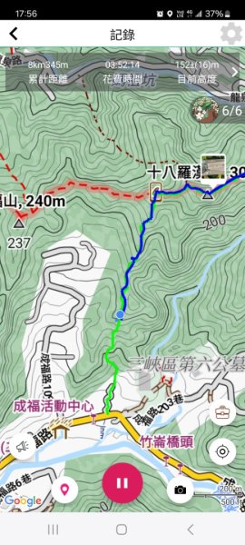 20250816_天上山系望月亭桐花段2863443