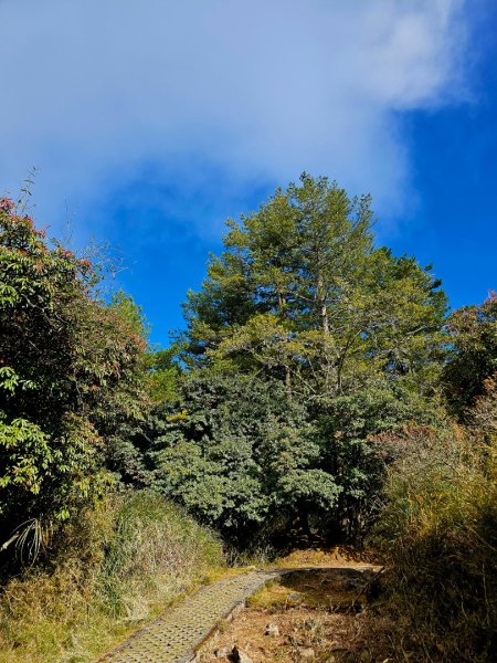 小雪山天池步道2962663