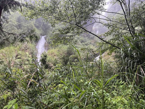 [玉山尋寶任務-01/12] 2025_0726 庫哈諾辛山登山步道2847378