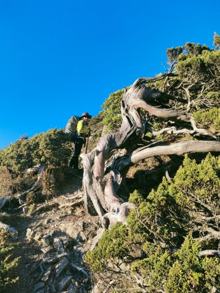 1101029雪山登山口直上雪北山屋1501593