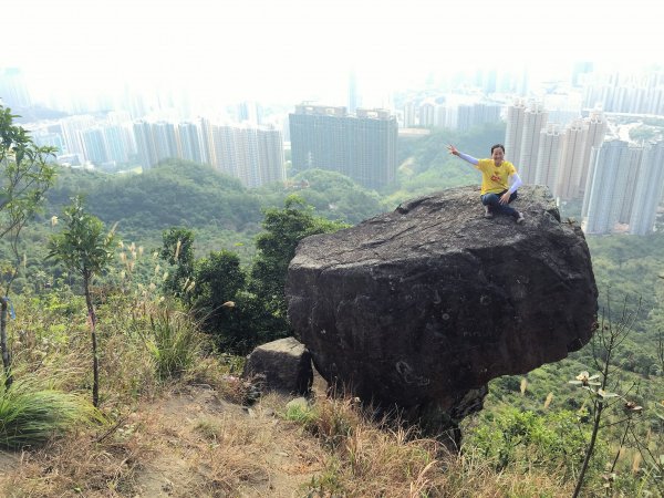 香港山系 － 九龍 • 新界934537