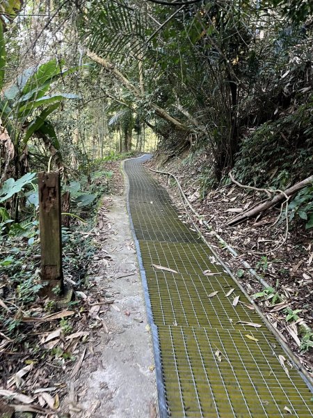 鹿谷長源圳生態步道2726273