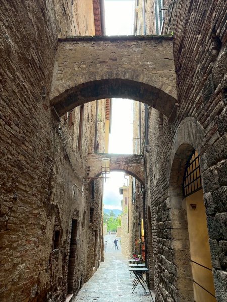 Via Francigena D1: San Gimignano-Colle di Val d’El3072653