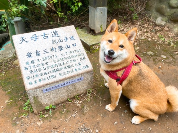 天母水管路古道1068108