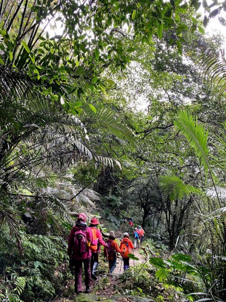 🌈3/16（日）內灣馬胎+南坪古道~內灣老街與合興愛情車站 FB：熊熊趴爬走🌈2737825