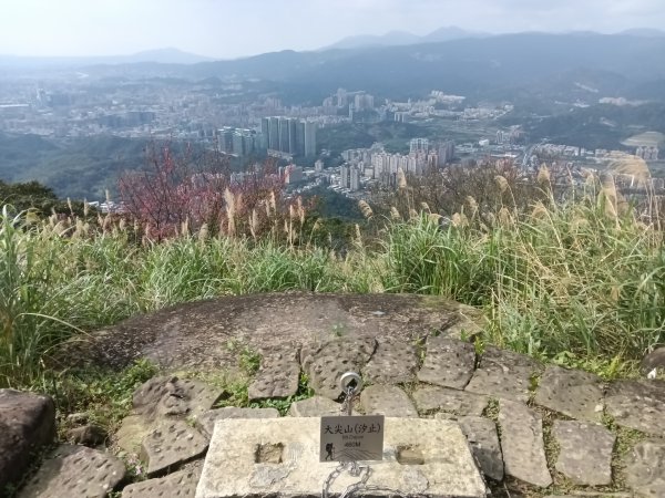 大尖山櫻花-龍船洞-秀峰瀑布2733739