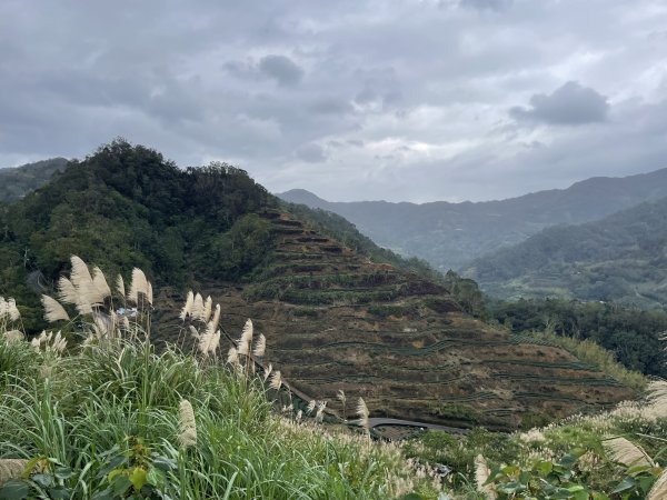 坪林烏窟子山2685886