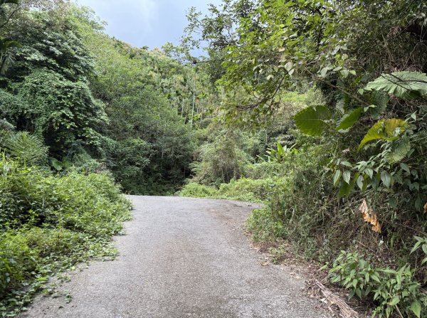 2025_1018 花蓮縣鳳林鎮鳳凰瀑布2921375